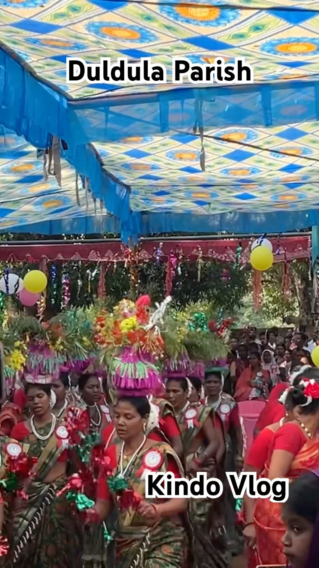 पावन पुरोहिताभिषेक फा. अरविन्द कुजूर ,दुलदुला पल्ली /shortvideo24